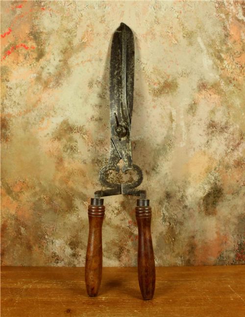 ANTIQUE LARGE PAIR GARDENING SHEARS 18TH CENTURY FRENCH GARDENER'S TOOL - ADDITIONAL PHOTO 5