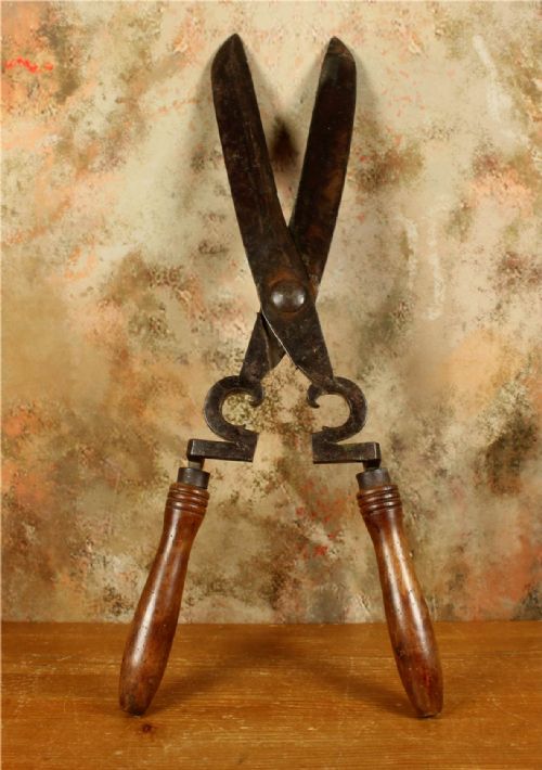 ANTIQUE LARGE PAIR GARDENING SHEARS 18TH CENTURY FRENCH GARDENER'S TOOL - ADDITIONAL PHOTO 6