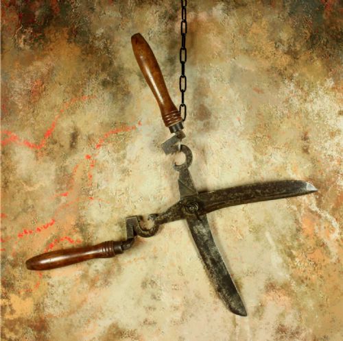ANTIQUE LARGE PAIR GARDENING SHEARS 18TH CENTURY FRENCH GARDENER'S TOOL - ADDITIONAL PHOTO 15