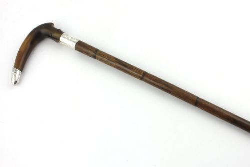 fig 1. An Edwardian walking stick featuring a curved brown horn handle with a silver tip and an engraved sterling silver collar attached to a dark bamboo shaft.