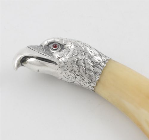 fig 1. An antique cigar cutter crafted from a curved cream-coloured boar tusk fitted with a cast silver eagle head terminal and a silver cutting mechanism at the opposing end.