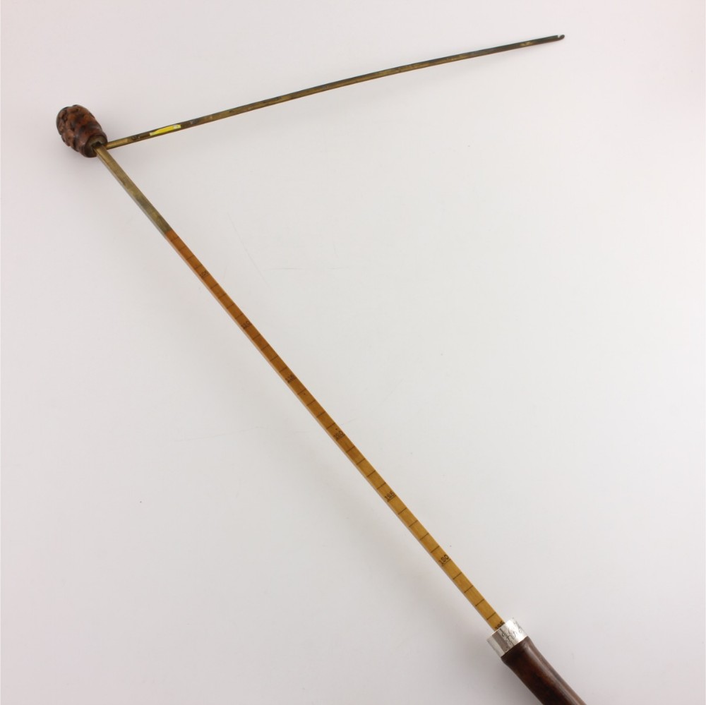 Bamboo Root Walking Cane With Horse Measuring Stick. Swaine & Adeney