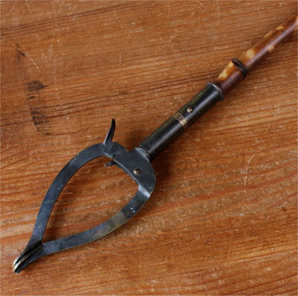 Victorian Bamboo Library Book Grabber. 