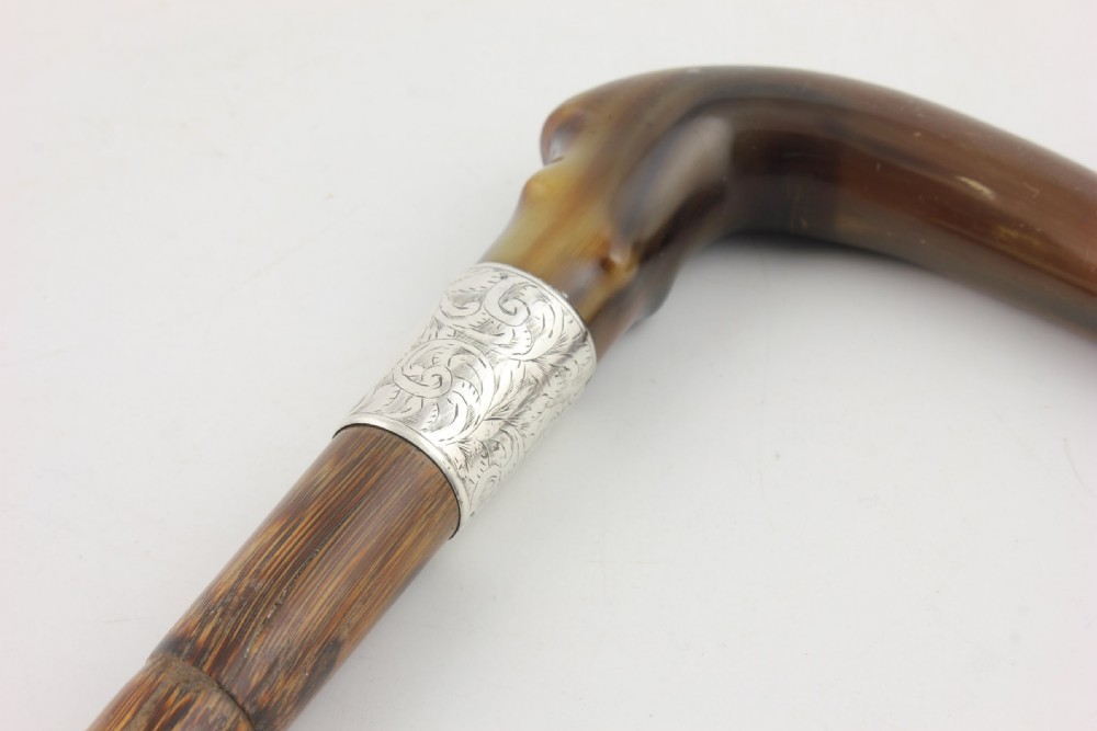 An Edwardian walking stick featuring a curved brown horn handle with a silver tip and an engraved sterling silver collar attached to a dark bamboo shaft. View X