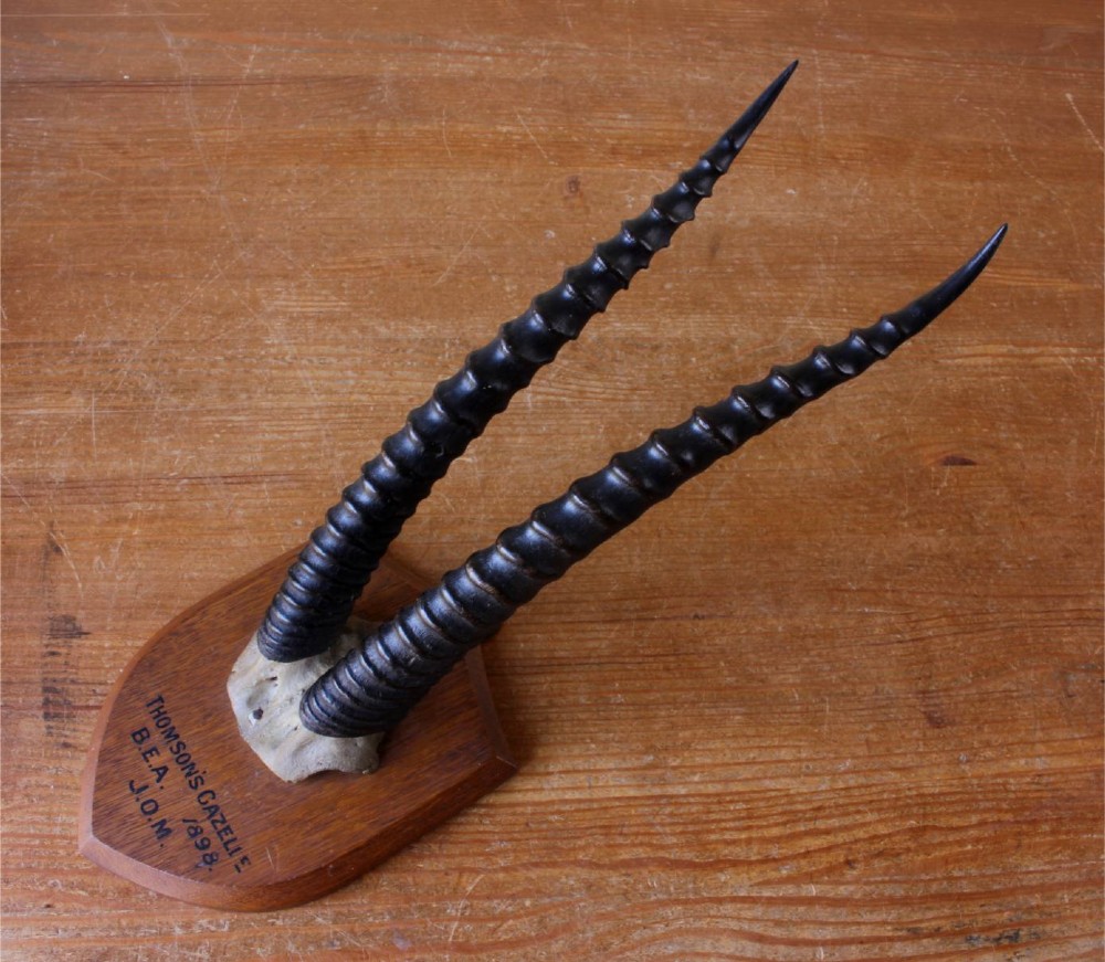 Alternate View