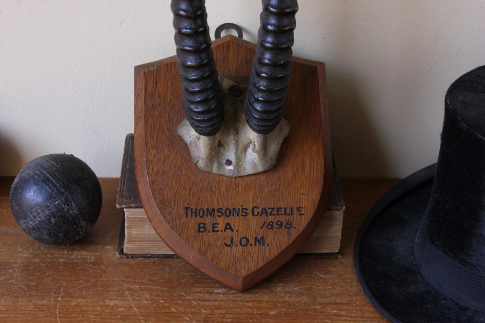 A pair of long, curved black gazelle horns mounted on a shield-shaped oak plaque bearing a written inscription dated 1898. View X