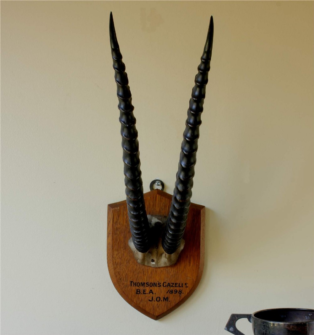A pair of long, curved black gazelle horns mounted on a shield-shaped oak plaque bearing a written inscription dated 1898. View XIV