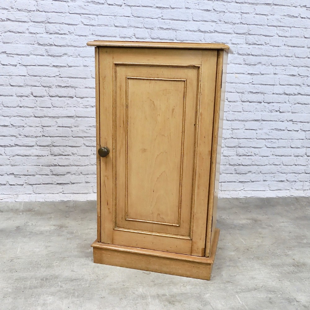 Victorian Folio Cupboard View II