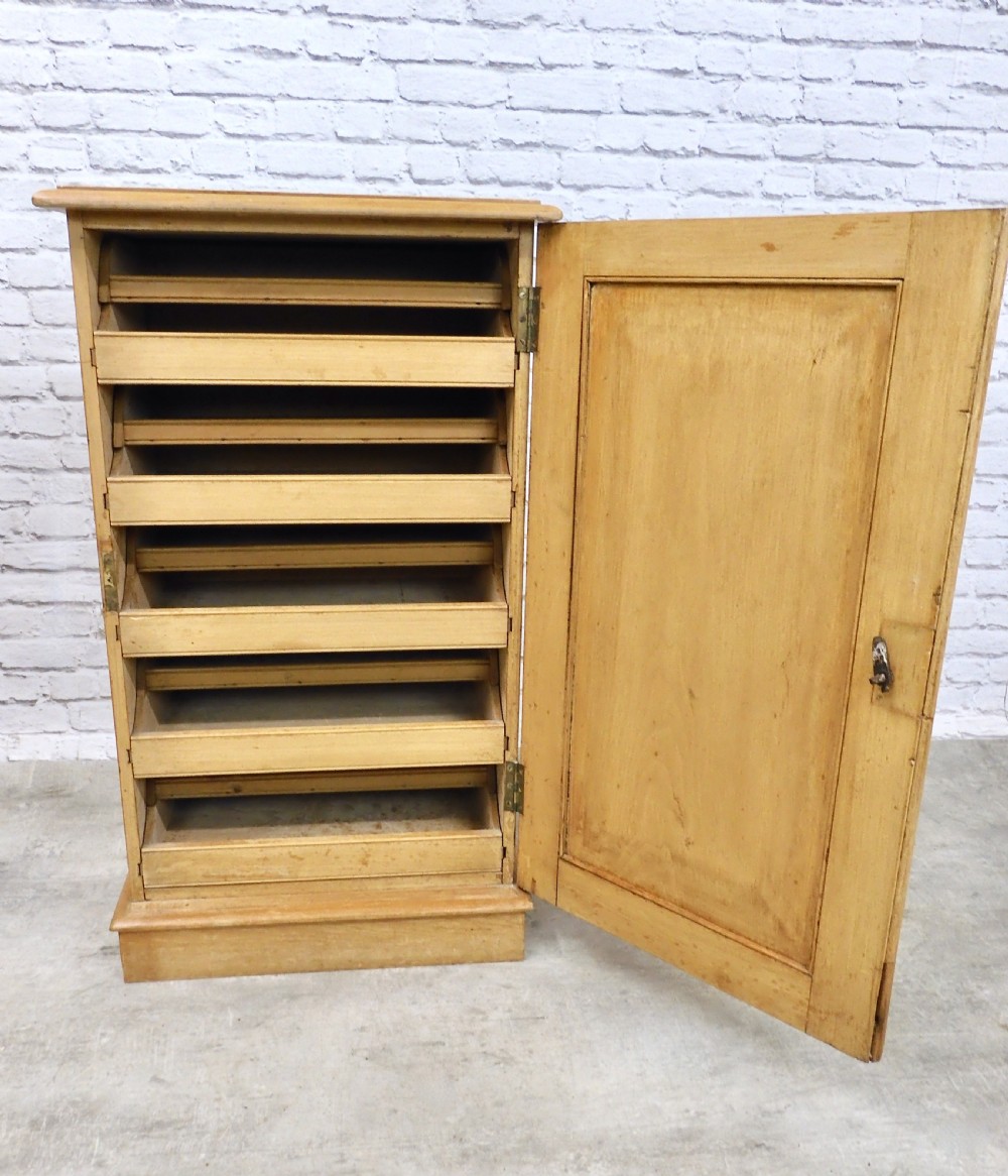 Victorian Folio Cupboard View V