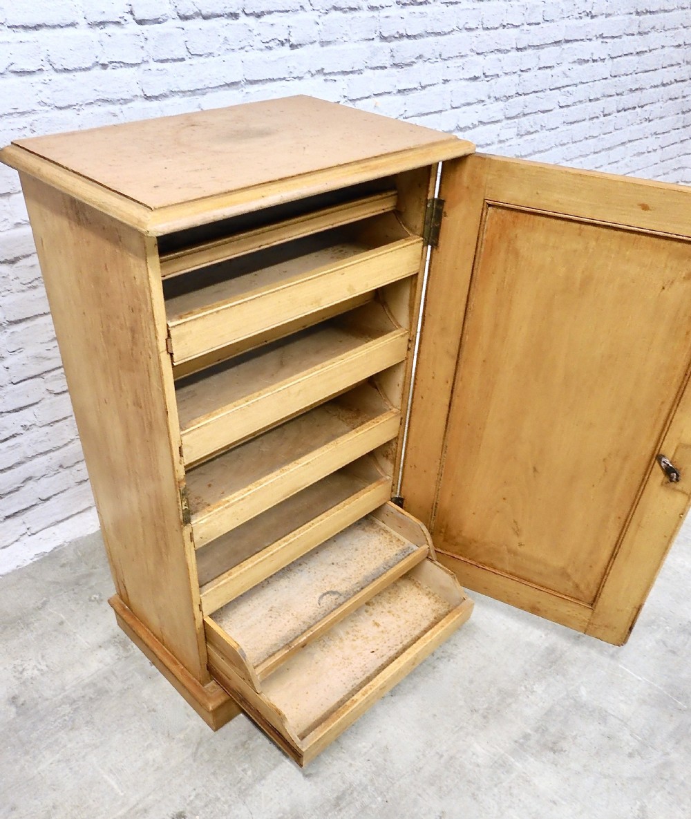 Victorian Folio Cupboard View VI
