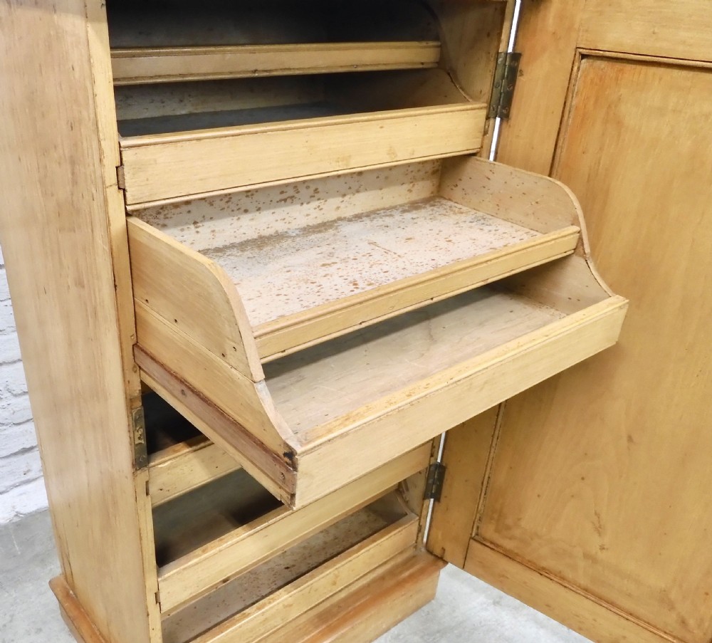 Victorian Folio Cupboard View VII