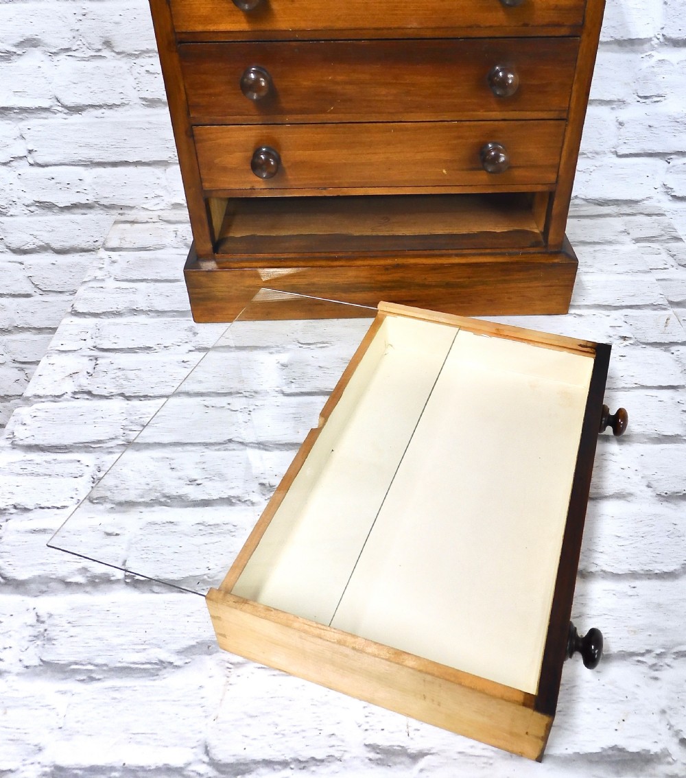 Superb Collector's Chest View VIII