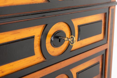 19TH CENTURY FRENCH EBONY AND KINGWOOD SECRTAIRE - ADDITIONAL PHOTO 4