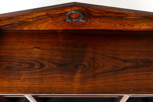 EARLY 19TH CENTURY ENGLISH ROSEWOOD BOOKCASESIDE CABINET - ADDITIONAL PHOTO 5