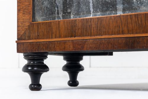 19TH CENTURY ENGLISH REGENCY ROSEWOOD SIDE CABINET - ADDITIONAL PHOTO 4