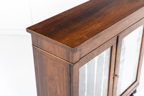 19TH CENTURY ENGLISH REGENCY ROSEWOOD SIDE CABINET - ADDITIONAL PHOTO 5