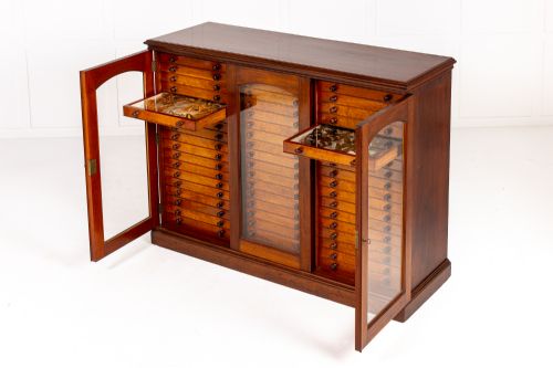 19TH CENTURY BUTTERFLY COLLECTION - ADDITIONAL PHOTO 2