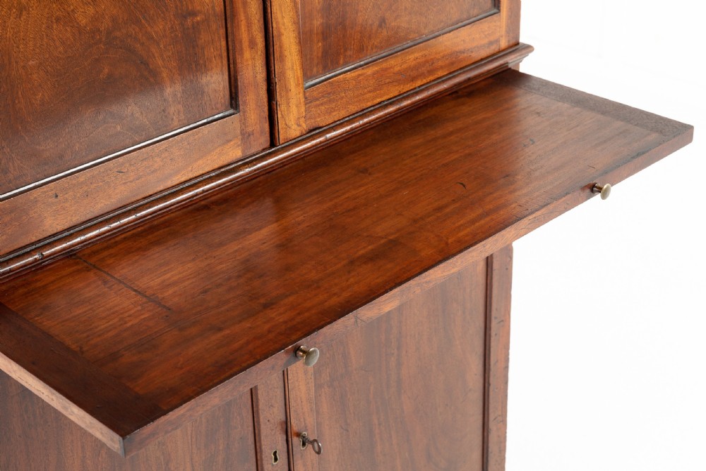 George III Mahogany Estate Cupboard View II