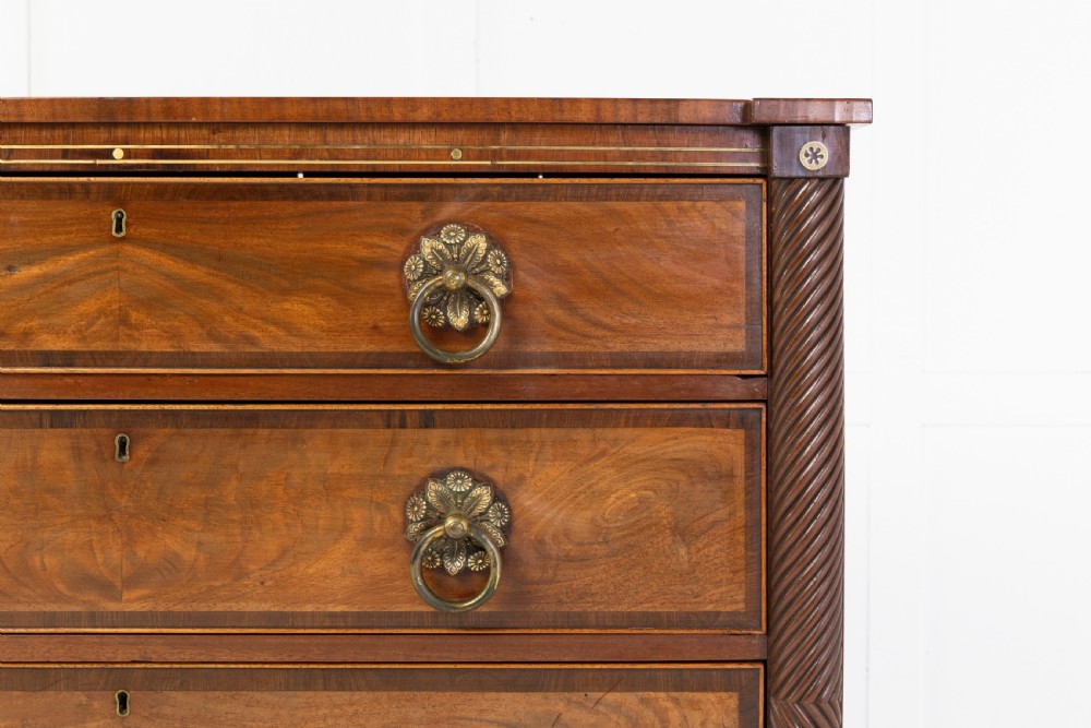 19th Century Century Regency Mahogany and Rosewood Chest of Drawers View VI