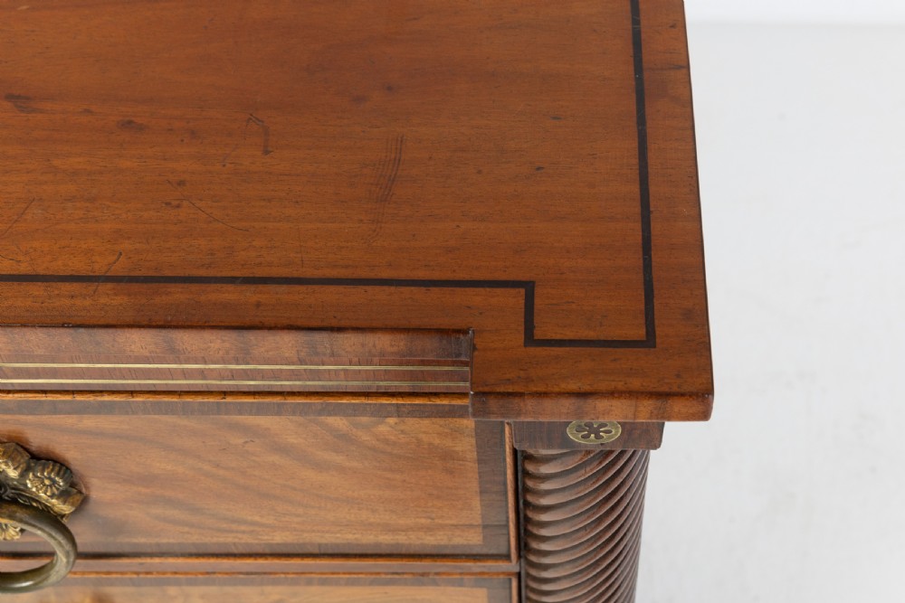 19th Century Century Regency Mahogany and Rosewood Chest of Drawers View VII