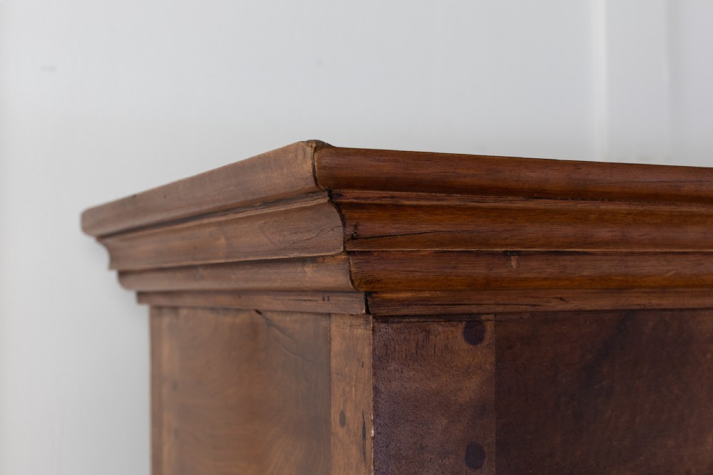 19th Century French Walnut Bookcase View IV