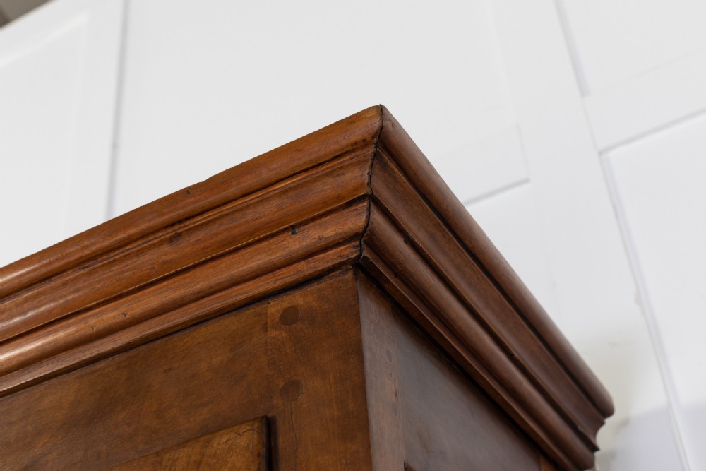 19th Century French Walnut Bookcase View VI