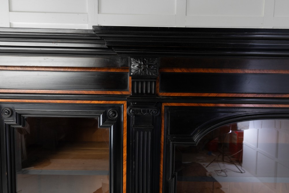 Large 19th Century French Bookcase View IV