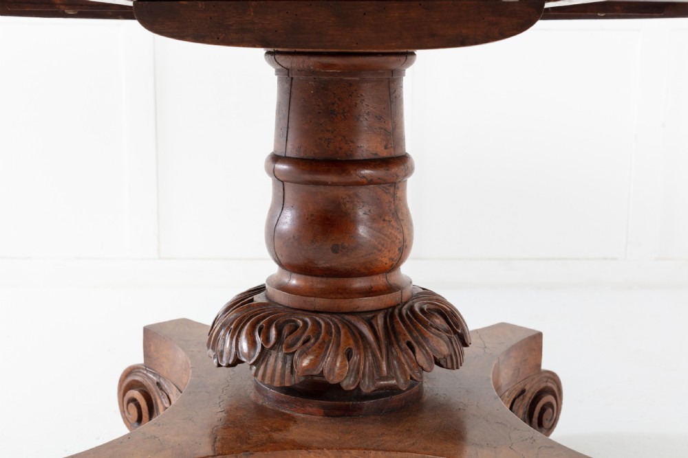 19th Century English Regency Burr Oak Tilt Top Table View VI