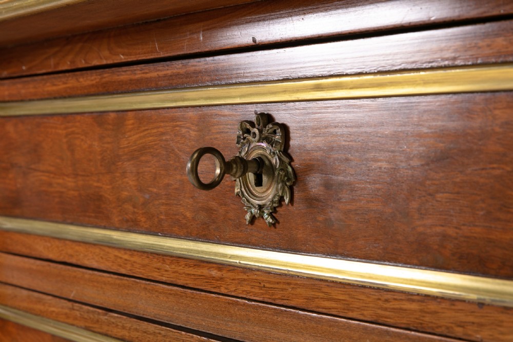 19th Century French Mahogany Tall Chest View IV