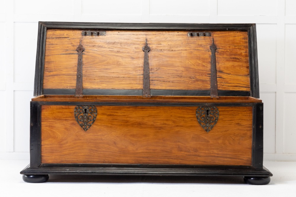 19th Century Ceylonese Satinwood Chest View II