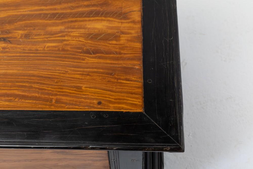 19th Century Ceylonese Satinwood Chest View VI