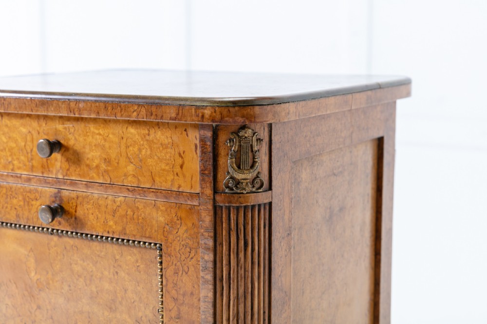 19th Century Burr Wood Bedside Cupboard View III