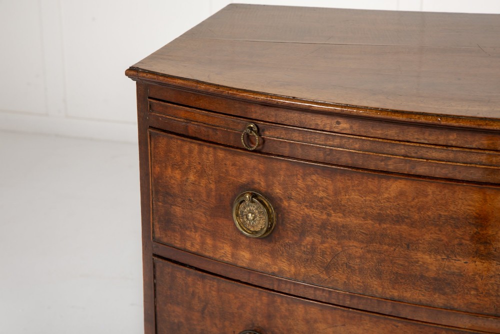 19th Century Mahogany English Regency Bow Fronted Chest of Drawers View IV
