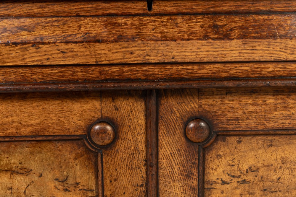 A tall 19th-century English pollard oak bookcase featuring a glazed two-door upper section and a solid panelled lower cupboard with circular boss details. View IV