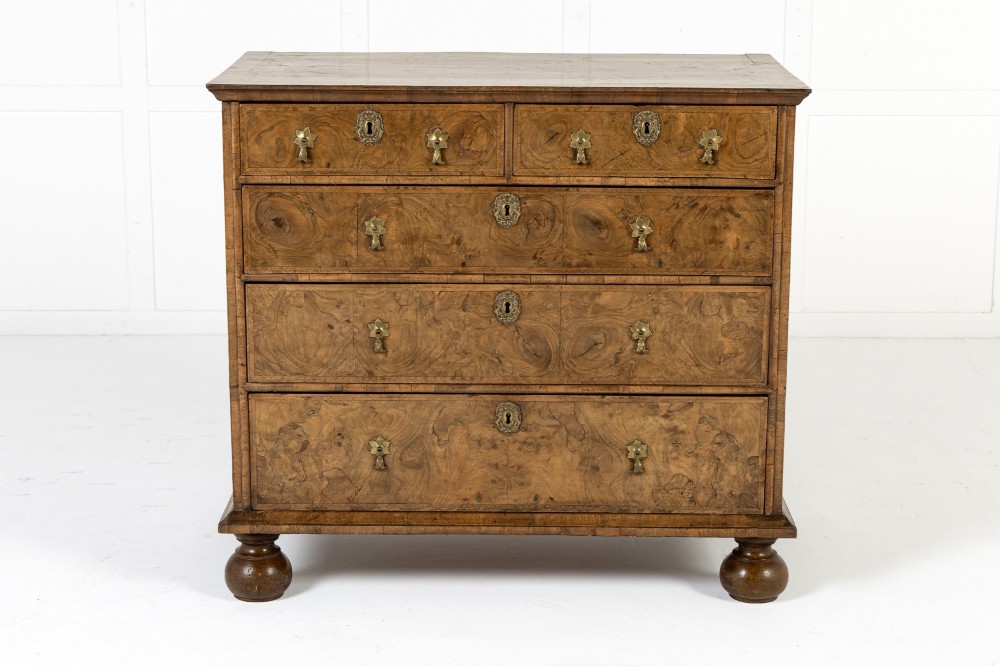An 18th-century English burr walnut chest of drawers featuring two short over three long drawers with brass drop handles and turned bun feet.