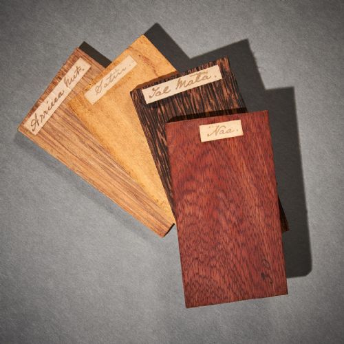 fig 2. A Rare 19th Century West Indian Satinwood Specimen Wood Box With Titled Specimen Samples Probably By Ralph Turnbull, Jamaica.