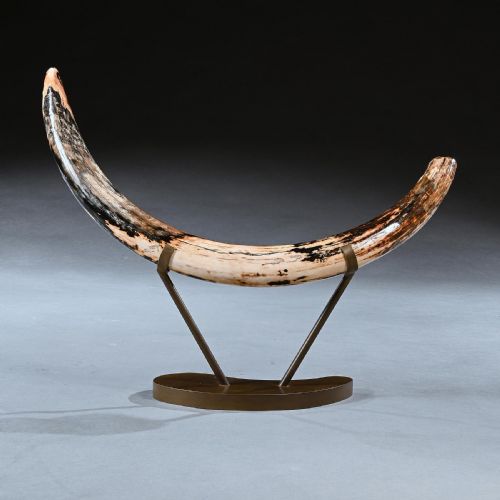 Superb Wooly Mammoth Tusk on Custom Bronzed Base