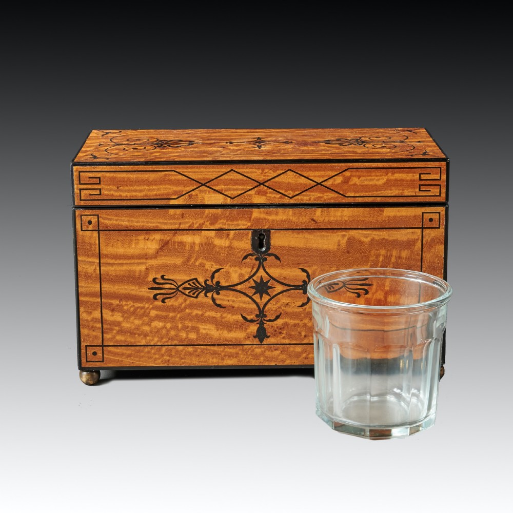 Fine Regency Figured East Indian Satinwood and Ebony Inlaid Tea Caddy View V