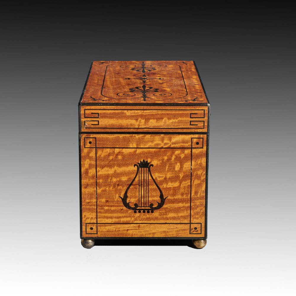 Fine Regency Figured East Indian Satinwood and Ebony Inlaid Tea Caddy View VIII