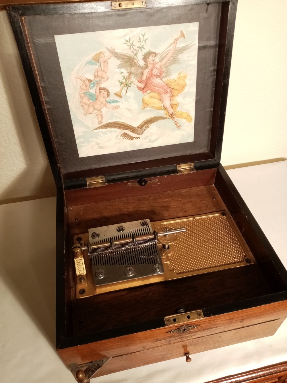 Fortuna  Music Box. 10.5