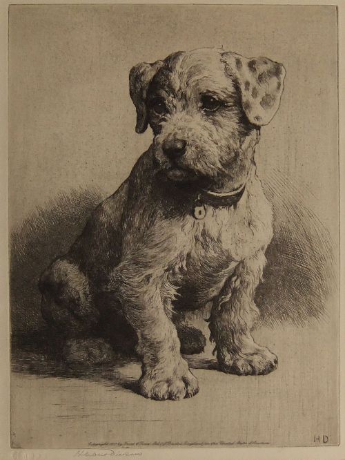 Herbert Dicksee "A Sealyham Pup" Original Signed Etching