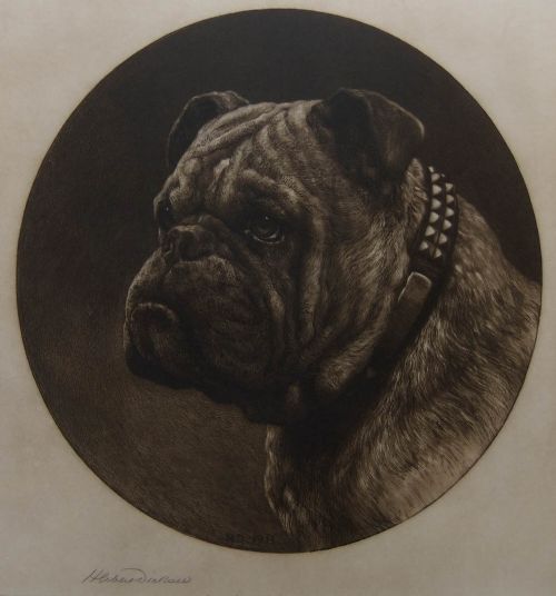 Herbert Dicksee "A British Bulldog" Etching