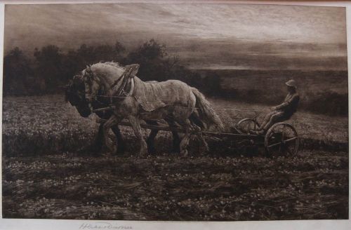 Herbert Dicksee "The Clover Field" Etching