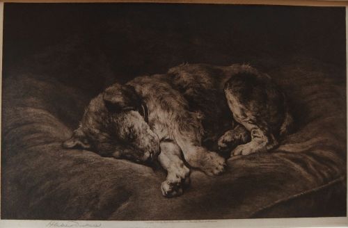 Herbert Dicksee "On Velvet" Etching
