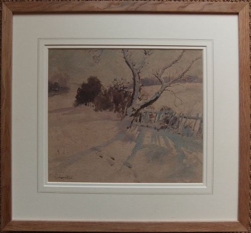 fig 1. Lamorna Birch