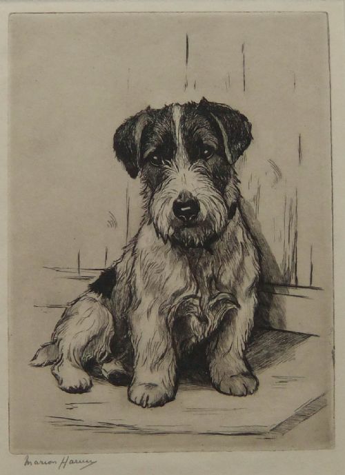 Marion Harvey "Shut Out" Original Etching of a Pup
