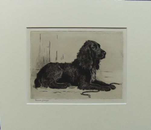 Marion Harvey "Ready" Original Etching of Spaniel