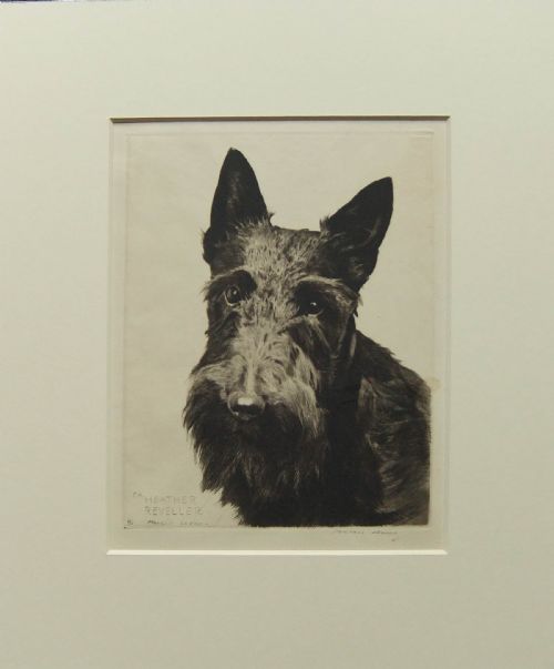 Morgan Dennis "Heather Reveller" Scottish Terrier Etching