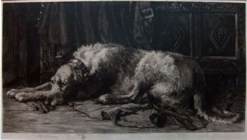 Herbert Dicksee "Scottish Deerhound" Original Etching