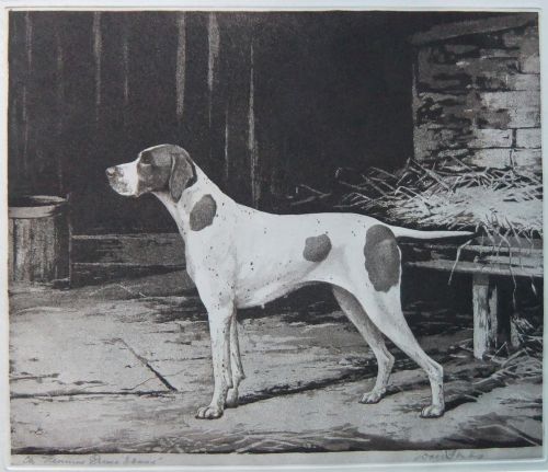 Reuben Ward Binks "Pennine Prima Donna" Pointer, Old Print